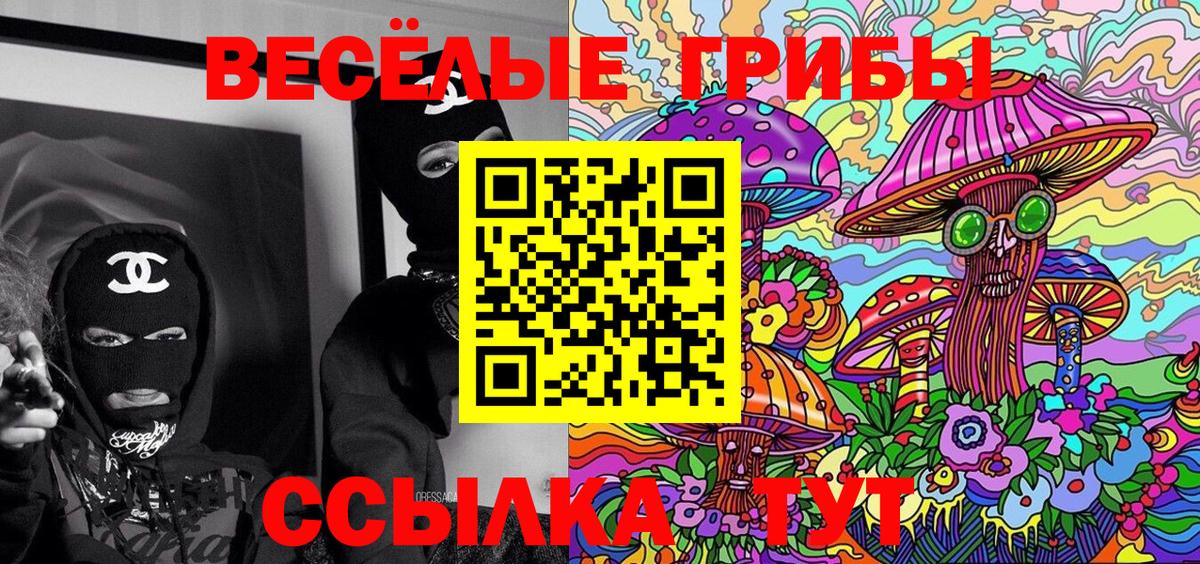 Псилоцибиновые грибы Psilocybe  Вход с VPN  закладка  Рузаевка 